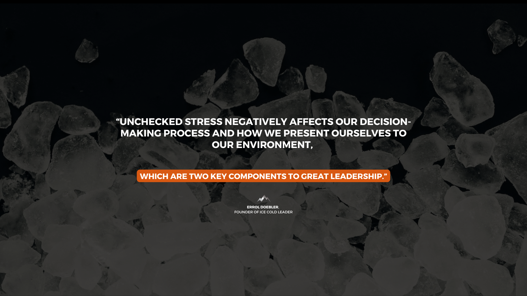 How Stress Can Destroy Your Health and Leadership: Effective Strategies to Combat Inflammation and Make Better Decisions